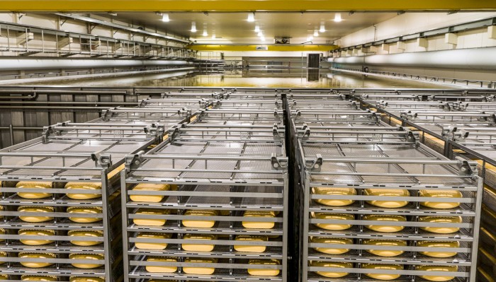 https://www.laude.nl/userfiles/visuals/industrial-equipment-for-the-cheese-making-industry-3.jpg